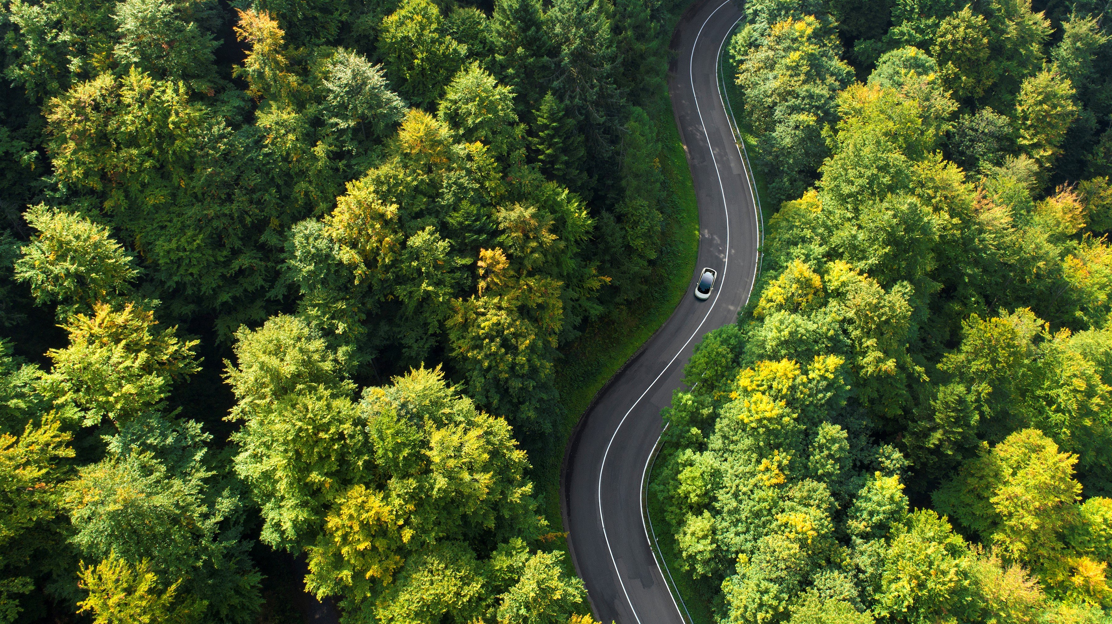 Aerial view of a car driving through a winding road surrounded by lush green forest, symbolizing Worthington Steel's commitment to sustainability